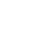 従業員数